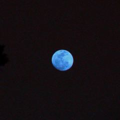 Jerry'sBlueMoon