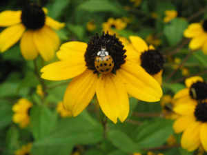 august-31st-2013-211