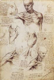 Body by Leonardo Da Vinci