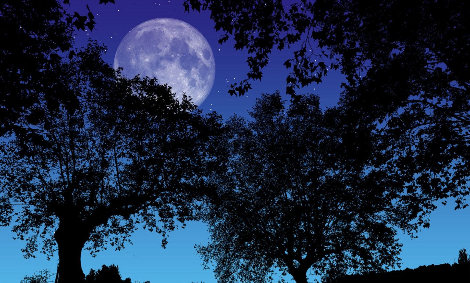 Screen Shot 2020-05-10 at 10.54.11 AM