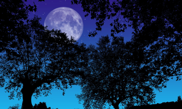 Screen Shot 2020-05-10 at 10.54.11 AM